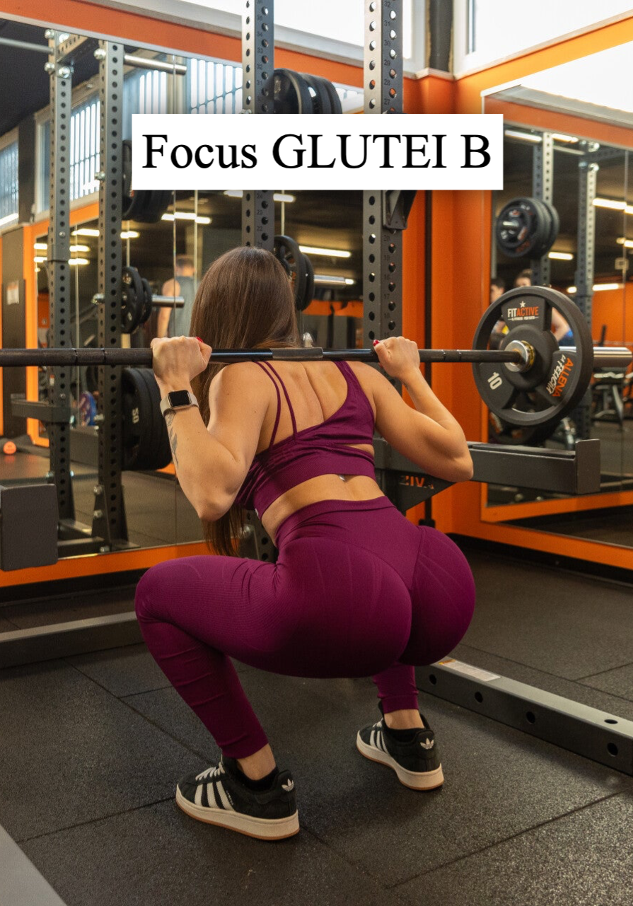 Focus Glutei B